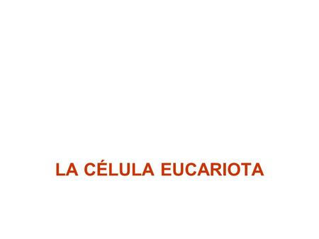 LA CÉLULA EUCARIOTA.