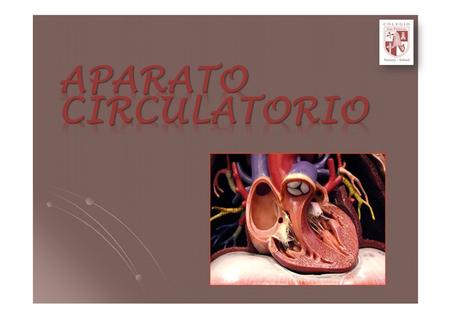 APARATO CIRCULATORIO.
