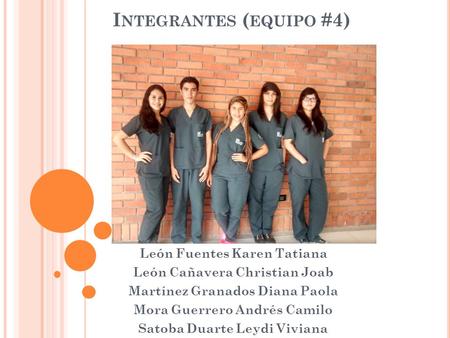 Integrantes (equipo #4)