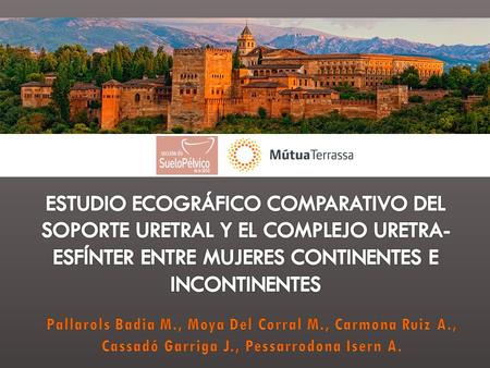 La IUE es un problema muy prevalente y multifactorial. Condicionantes más destacados: La pérdida de soporte uretral  ruptura o elongación de los anclajes.