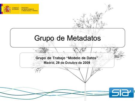 Grupo de Metadatos Grupo de Trabajo “Modelo de Datos” Madrid, 29 de Octubre de 2009.