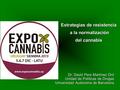 Dr. David Pere Martínez Oró Unidad de Políticas de Drogas Universidad Autónoma de Barcelona Estrategias de resistencia a la normalización a la normalización.