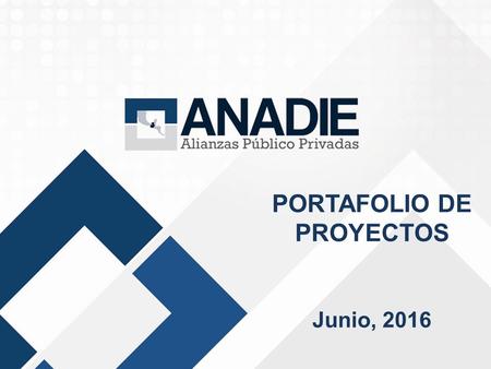PORTAFOLIO DE PROYECTOS