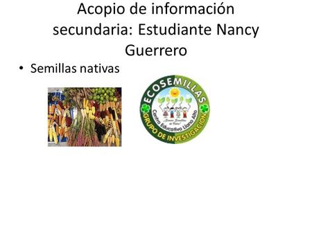 Acopio de información secundaria: Estudiante Nancy Guerrero Semillas nativas.