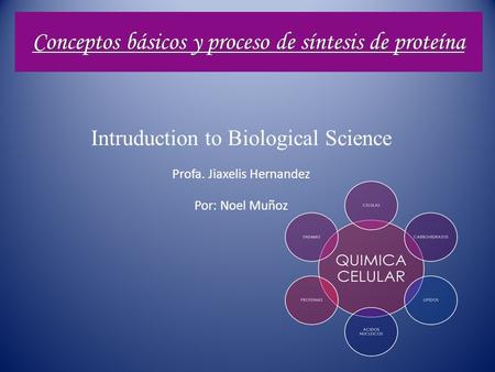 Conceptos básicos y proceso de síntesis de proteína Intruduction to Biological Science Profa. Jiaxelis Hernandez Por: Noel Muñoz.