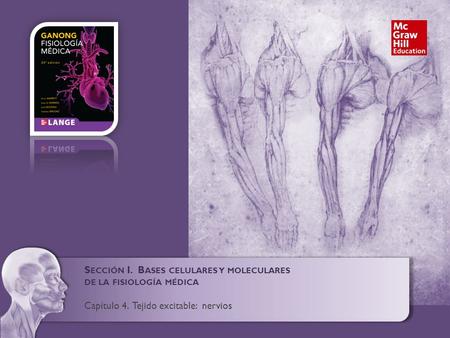 S ECCIÓN I. B ASES CELULARES Y MOLECULARES DE LA FISIOLOGÍA MÉDICA Capítulo 4. Tejido excitable: nervios.