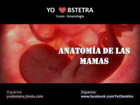 YO BSTETRA Curso: Ginecología Síguenos: yoobstetra.jimdo.com Síguenos: www.facebook.com/YoObstetra.
