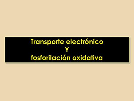 Transporte electrónico fosforilación oxidativa
