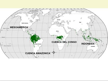 MESOAMERICA CUENCA AMAZONICA CUENCA DEL CONGO INDONESIA.