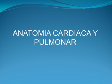 ANATOMIA CARDIACA Y PULMONAR