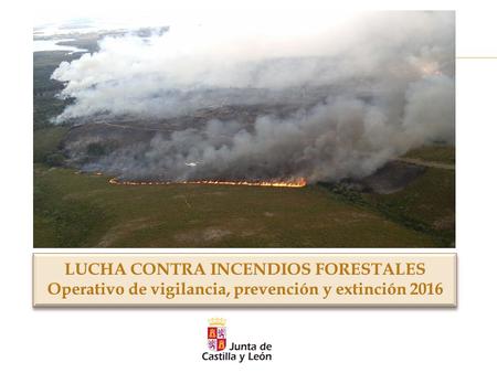 CASTILLA Y LEÓN Promedio 2005-20142015 % Variación respecto promedio 2005-2014 Número de Incendios total1.9591.733-12% -Número de conatos1.1011.167 %