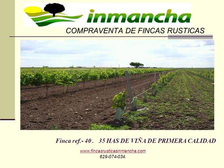 Finca ref.- 40. 35 HAS DE VIÑA DE PRIMERA CALIDAD COMPRAVENTA DE FINCAS RUSTICAS www.fincasrusticasinmancha.com 629-074-034.