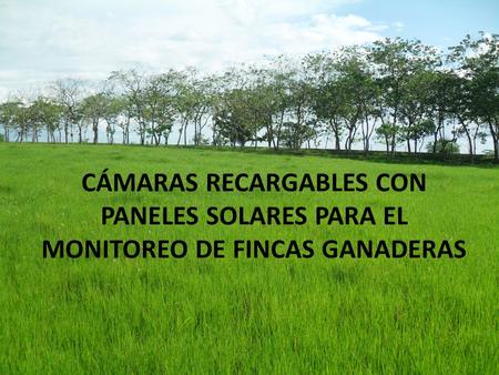 CÁMARAS RECARGABLES CON PANELES SOLARES PARA EL MONITOREO DE FINCAS GANADERAS.