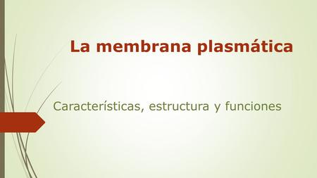La membrana plasmática Características, estructura y funciones.