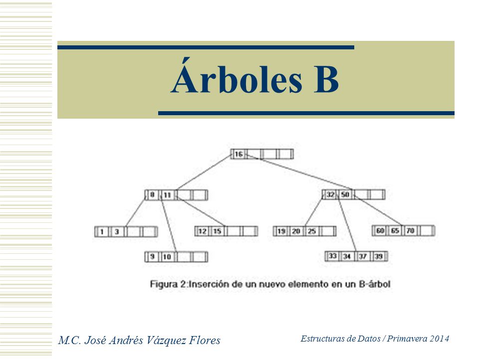Árboles B . José Andrés Vázquez Flores Estructuras de Datos / Primavera  ppt descargar