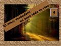 El amor verdadero es para toda la vida 4 Í ndice. 1.-Empezar con una pregunta: 1)¿qué es el amor verdadero para toda la vida? 1.¿qué es amor verdadero?