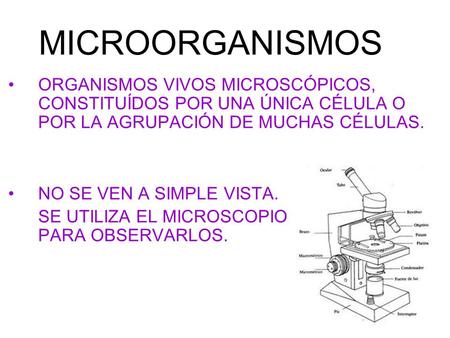 MICROORGANISMOS ORGANISMOS VIVOS MICROSCÓPICOS, CONSTITUÍDOS POR UNA ÚNICA CÉLULA O POR LA AGRUPACIÓN DE MUCHAS CÉLULAS. NO SE VEN A SIMPLE VISTA. SE.
