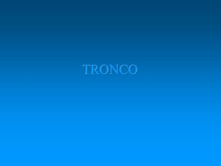  Sucesión de huesos cortos unidos por cartílagos llamados discos intervertebrales  Sirve de sostén  Protege la médula  Permite los movimientos del.