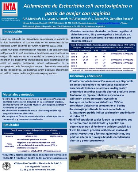Aislamiento de Escherichia coli verotoxigénico a partir de ovejas con vaginitis Dentro de las 48 horas posteriores a su aplicación (*), algunos animales.