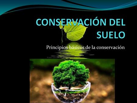 Principios básicos de la conservación. Principales problemas … podrían tener relación directa con la escasez de alimentos en un futuro no muy distante,
