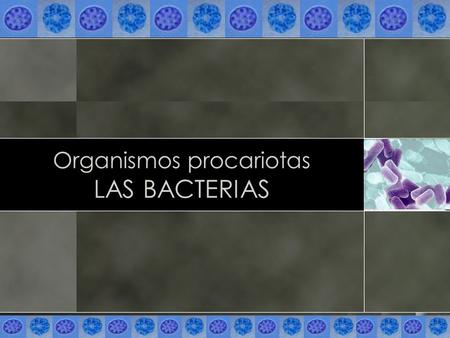 Organismos procariotas LAS BACTERIAS. LA CÉLULA oLos organismos exhiben ciertas propiedades fundamentales que reconocemos como características de vida.