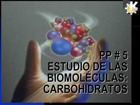 PP # 5 ESTUDIO DE LAS BIOMOLÉCULAS: CARBOHIDRATOS