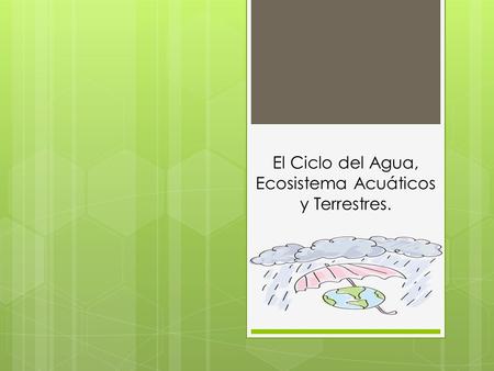 El Ciclo del Agua, Ecosistema Acuáticos y Terrestres.