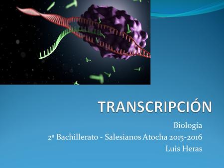Biología 2º Bachillerato - Salesianos Atocha Luis Heras