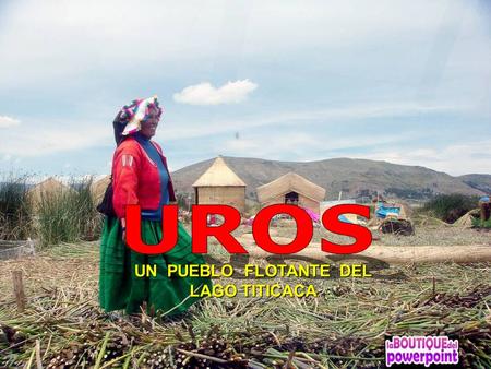 UN PUEBLO FLOTANTE DEL LAGO TITICACA Las Islas de los Uros, famosas islas flotantes en el lago Titicaca, construídas en Totora (un tipo de junco), están.