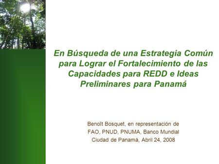 En Búsqueda de una Estrategia Común para Lograr el Fortalecimiento de las Capacidades para REDD e Ideas Preliminares para Panamá Benoît Bosquet, en representación.