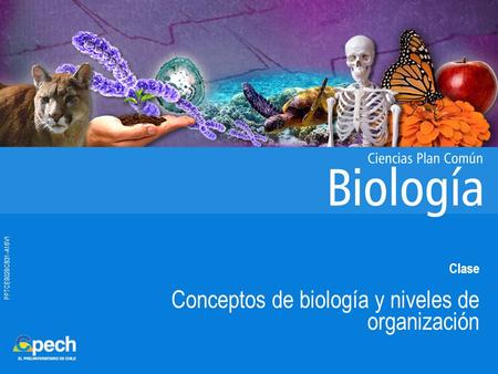 Conceptos de biología y niveles de organización