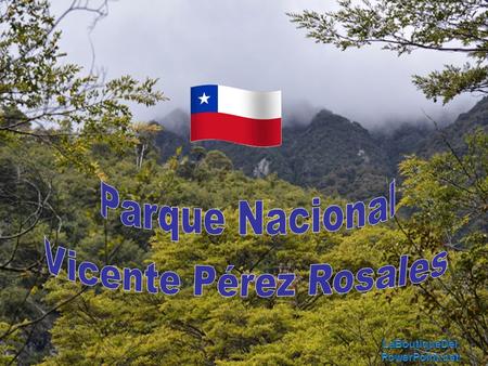 O Parque Nacional Vicente Pérez Rosales está localizado na província de Llanquihue, Região de Los Lagos, Chile. Foi criado em 1926 e é o mais antigo.