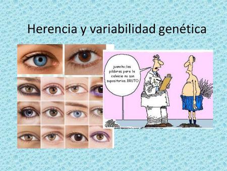 Herencia y variabilidad genética