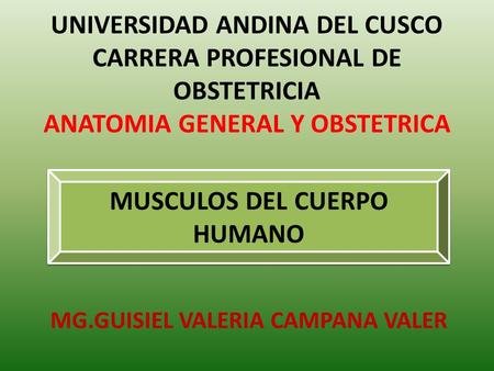 UNIVERSIDAD ANDINA DEL CUSCO CARRERA PROFESIONAL DE OBSTETRICIA ANATOMIA GENERAL Y OBSTETRICA MG.GUISIEL VALERIA CAMPANA VALER MUSCULOS DEL CUERPO HUMANO.