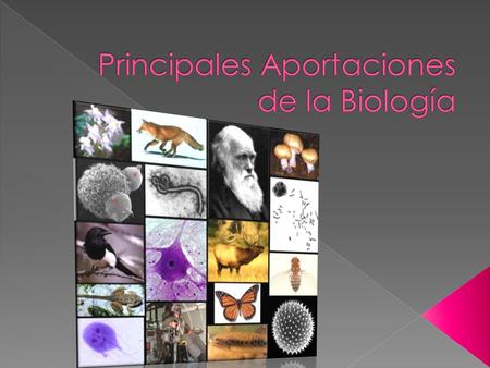  Desde la antigüedad, mucho antes de que la biología surgiera como ciencia, el ser humano ya utilizaba una serie de conocimientos relacionados con los.