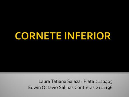 Laura Tatiana Salazar Plata 2120405 Edwin Octavio Salinas Contreras 2111196.