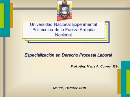 Especialización en Derecho Procesal Laboral Universidad Nacional Experimental Politécnica de la Fuerza Armada Nacional Mérida, Octubre 2010 Prof. Abg.