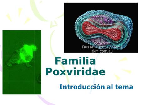 Familia Poxviridae Introducción al tema.