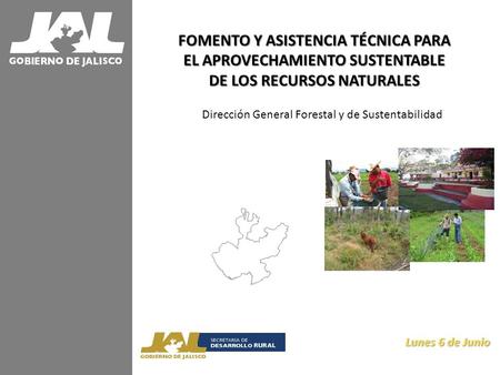 FOMENTO Y ASISTENCIA TÉCNICA PARA EL APROVECHAMIENTO SUSTENTABLE DE LOS RECURSOS NATURALES Lunes 6 de Junio Lunes 6 de Junio Dirección General Forestal.