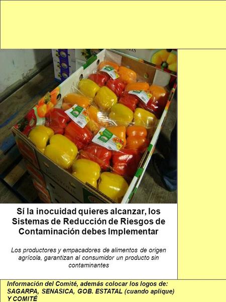 Sí la inocuidad quieres alcanzar, los Sistemas de Reducción de Riesgos de Contaminación debes Implementar Los productores y empacadores de alimentos de.