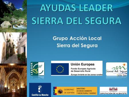 Grupo Acción Local Sierra del Segura. ¿Qué es el GRUPO ACCION LOCAL? Asociación Privada sin animo de lucro. Asociación Privada sin animo de lucro. Socios.