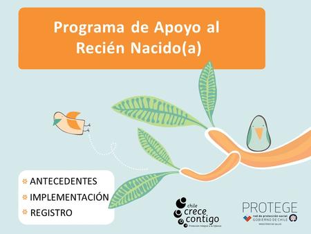 Programa de Apoyo al Recién Nacido(a) ANTECEDENTES IMPLEMENTACIÓN REGISTRO.