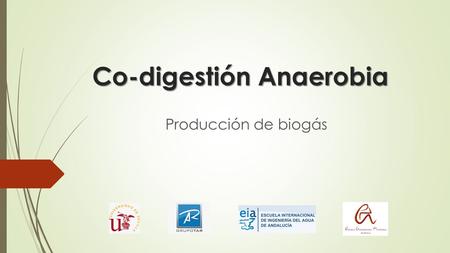 Co-digestión Anaerobia Co-digestión Anaerobia Producción de biogás.