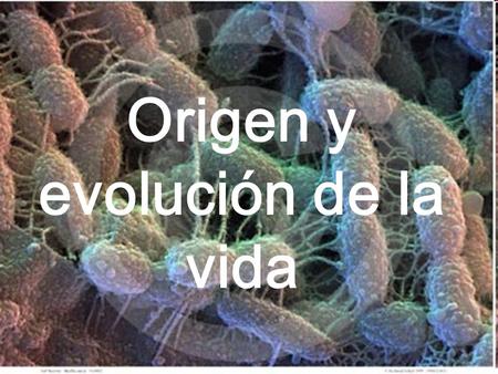 Origen y evolución de la vida