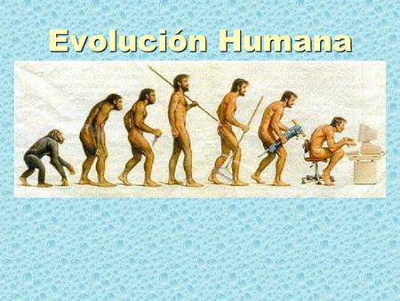 Evolución Humana.