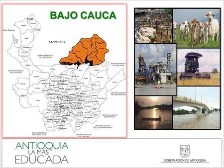 BAJO CAUCA. PIRAMIDE POBLACIONAL Pirámide poblacional Bajo Cauca. Antioquia 2011 Fuente: Proyección DANE 2011.