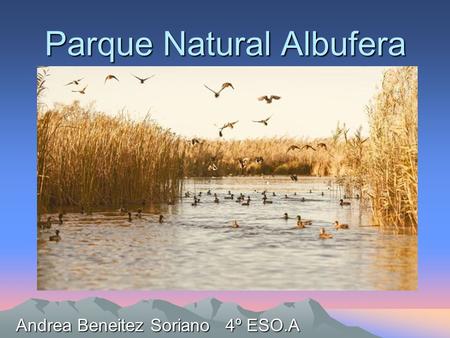 Parque Natural Albufera Andrea Beneitez Soriano 4º ESO.A.