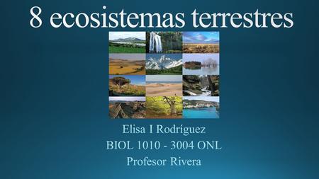 8 ecosistemas terrestres