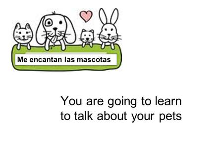 You are going to learn to talk about your pets Me encantan las mascotas.