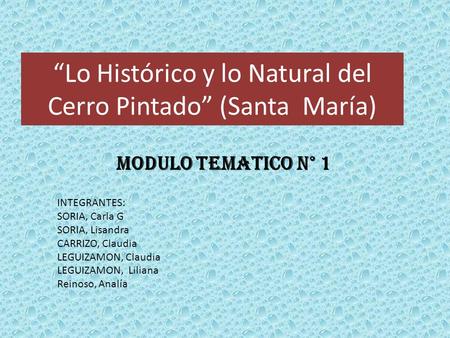 “Lo Histórico y lo Natural del Cerro Pintado” (Santa María) MODULO TEMATICO N° 1 INTEGRANTES: SORIA, Carla G SORIA, Lisandra CARRIZO, Claudia LEGUIZAMON,